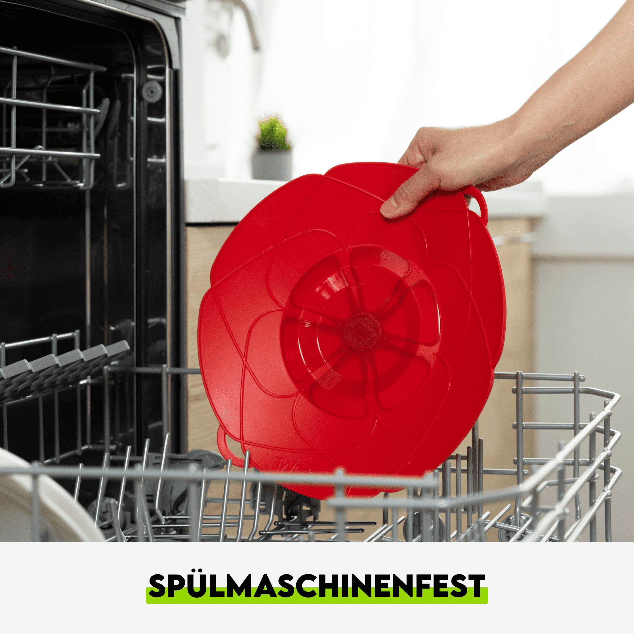 Kochblume Rot – Bild 6