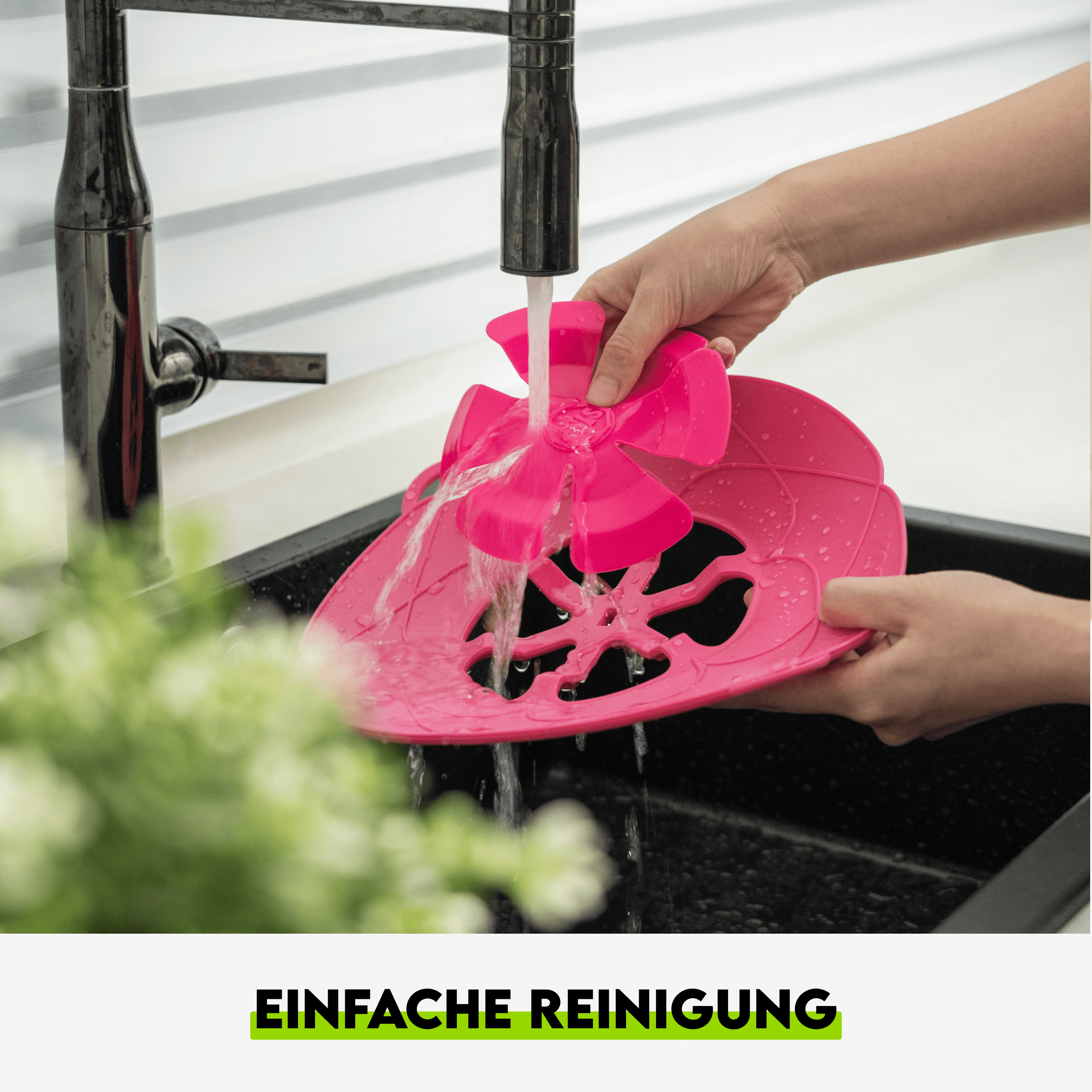 Kochblume Rot – Bild 7